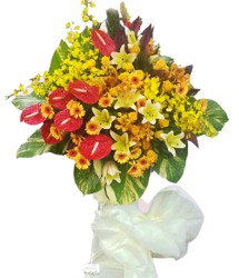 HOA ĐỒNG TIỀN - VỮNG TIN 2