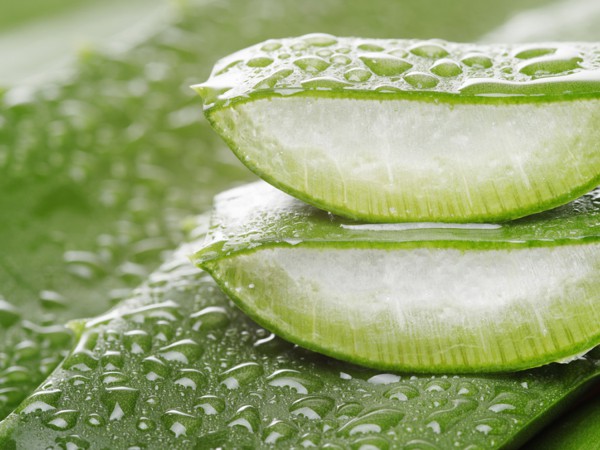 ឌ្ឍនាកា ដែលកំពុងតែប្រកបអាជីព