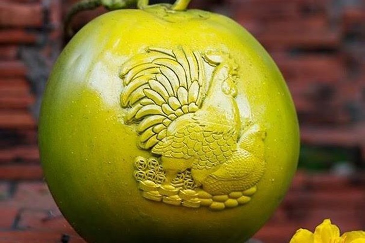 Cây, trái hình gà chưng Tết đua nhau bung hàng