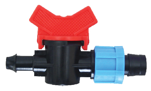  វ៉ានតូច