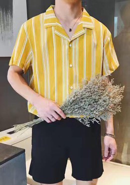 អាវឆ្នូតបញ្ឈរ