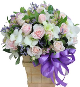 HOA LAN - NGÀY DỊU DÀNG