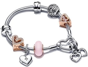 Pandora Winter Snowflake Bracelet Set ALE S925