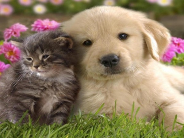 Quà tặng 'chẳng bao giờ lỗi thời' với con trai