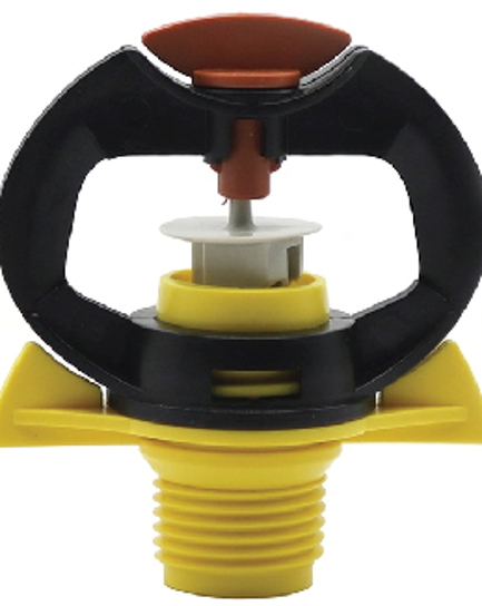 ក្បាលសាចទឹកតូច