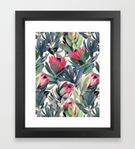 Khung Tranh Họa Phẩm Hoa Protea