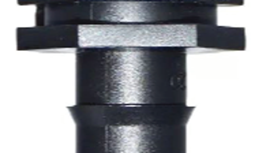  តំណមួលធ្មេញក្រៅ