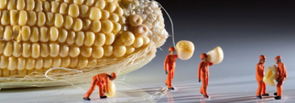 Thực hư về 'siêu thực phẩm' chống lại ung thư