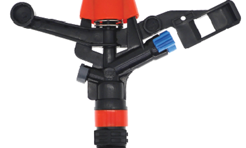 ក្បាលសាចស្រ្ពីងគ្ល័រ