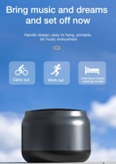 Aula 狼蛛 BS302 便携蓝牙小音箱