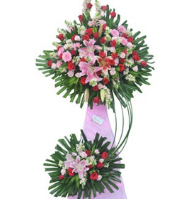 HOA LY - BỀN VỮNG 1