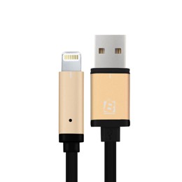 Cáp Lightning iPhone 5 Baseus - Gold