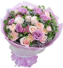 HOA CẨM CHƯỚNG - NHỮNG NGÀY MỘNG MƠ