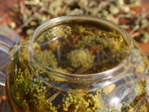 Hướng dẫn pha và sử dụng trà nụ hoa tam thất