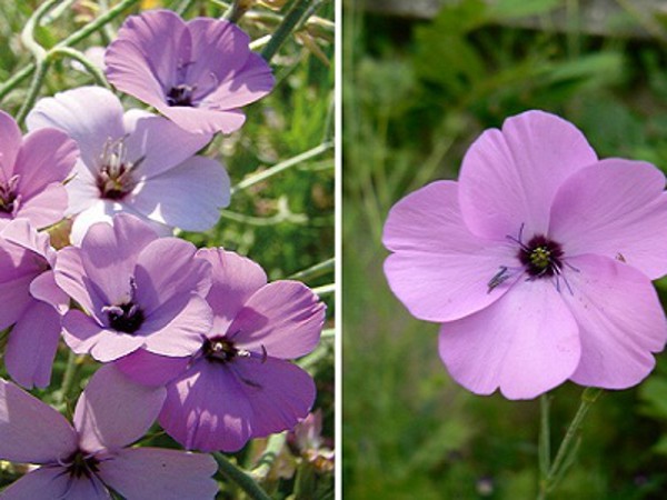  ផលប្រយោជន៍ដែលទទួលបានគឺ ៖