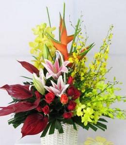 Nét Đẹp Vĩnh Cửu