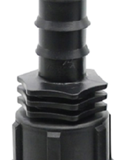 តំណសុងធ្មេញក្នុង