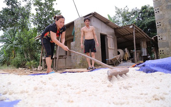 Nhiều tỉnh khó khăn nhưng không xin gạo cứu đói