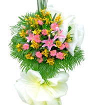 HOA LAN - TƯƠI SÁNG 3