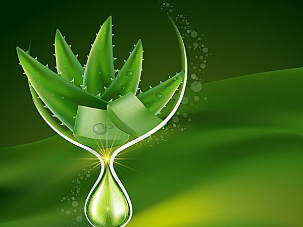 កីឡាករឆ្នើម ចាន់ វឌ្ឍនាកា