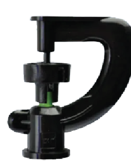 ក្បាលសាចទឹកតូច