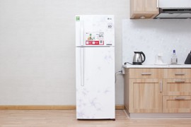 Tủ lạnh LG 208 lít GN-L225BF