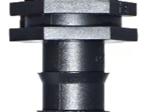  តំណមួលធ្មេញក្រៅ