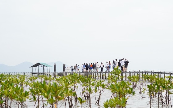 សហគមន៍នេសាទត្រពាំងសង្កែ