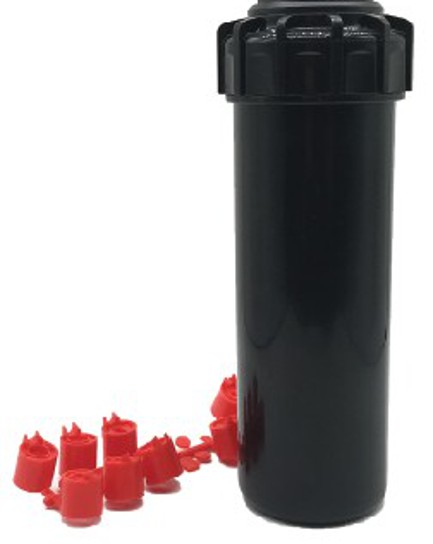 ក្បាលសាចស្រ្ពីងគ្ល័រ