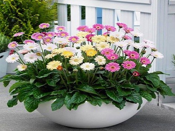 អំណោយ សម្រាប់ឪពុកម្តាយនៅលើ Tet ដែលមិនអាចមានន័យជាងនេះ។