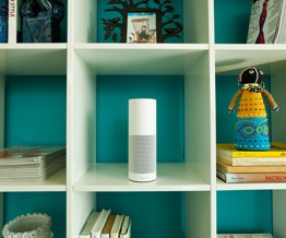 Amazon phản đối khi cảnh sát yêu cầu nộp thông tin ghi âm trên thiết bị Echo để phục vụ điều tra án mạng