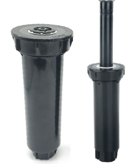 ក្បាលសាចស្រ្ពីងគ្ល័រ