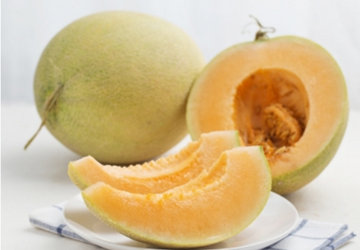 Melon ជប៉ុន