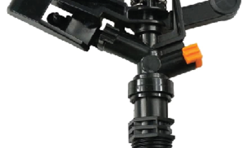 ក្បាលសាចស្រ្ពីងគ្ល័រ