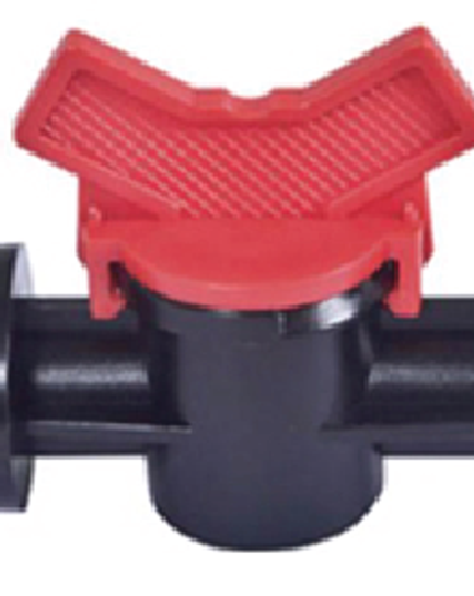 វ៉ានតូចធ្មេញក្រៅ