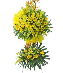 HOA ĐỒNG TIỀN - SUCCESS TOGETHER