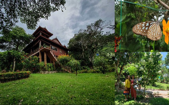 សួនមេអំបៅកែប 