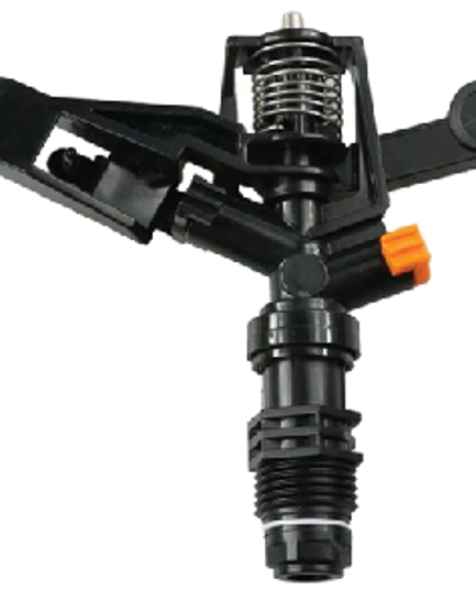 ក្បាលសាចស្រ្ពីងគ្ល័រ