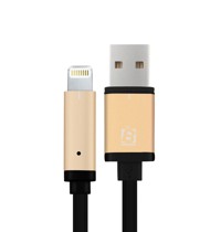 Cáp Lightning iPhone 5 Baseus - Gold