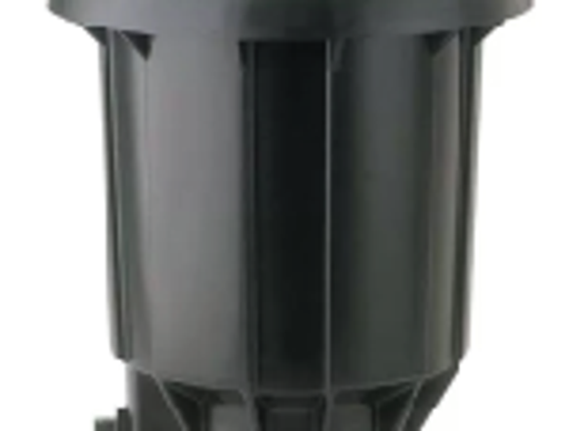 ក្បាលសាចស្រ្ពីងគ្ល័រ