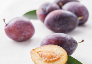 ផ្លុំស្ករអូស្ត្រាលី