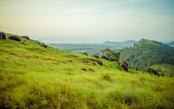 ពិកនិក  ខេត្តព្រះសីហនុ 