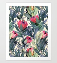 គំនូរផ្កា Protea