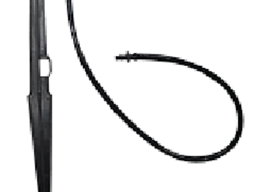 បង្គោលទ្រ