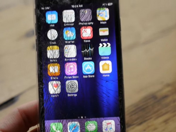 Thanh niên rảnh rỗi mang iPhone 7 ra "trêu" cá sấu và cái kết đắng lòng