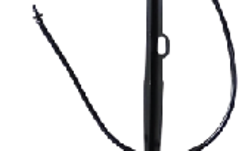  បង្គោលទ្រ