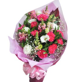 HOA CẨM CHƯỚNG - ROMANCE