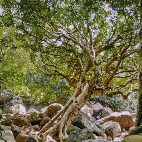 ទឹកធ្លាក់អន្លង់​ខៀវ