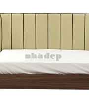 គ្រែមនុស្សពេញវ័យ