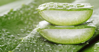 ឌ្ឍនាកា ដែលកំពុងតែប្រកបអាជីព